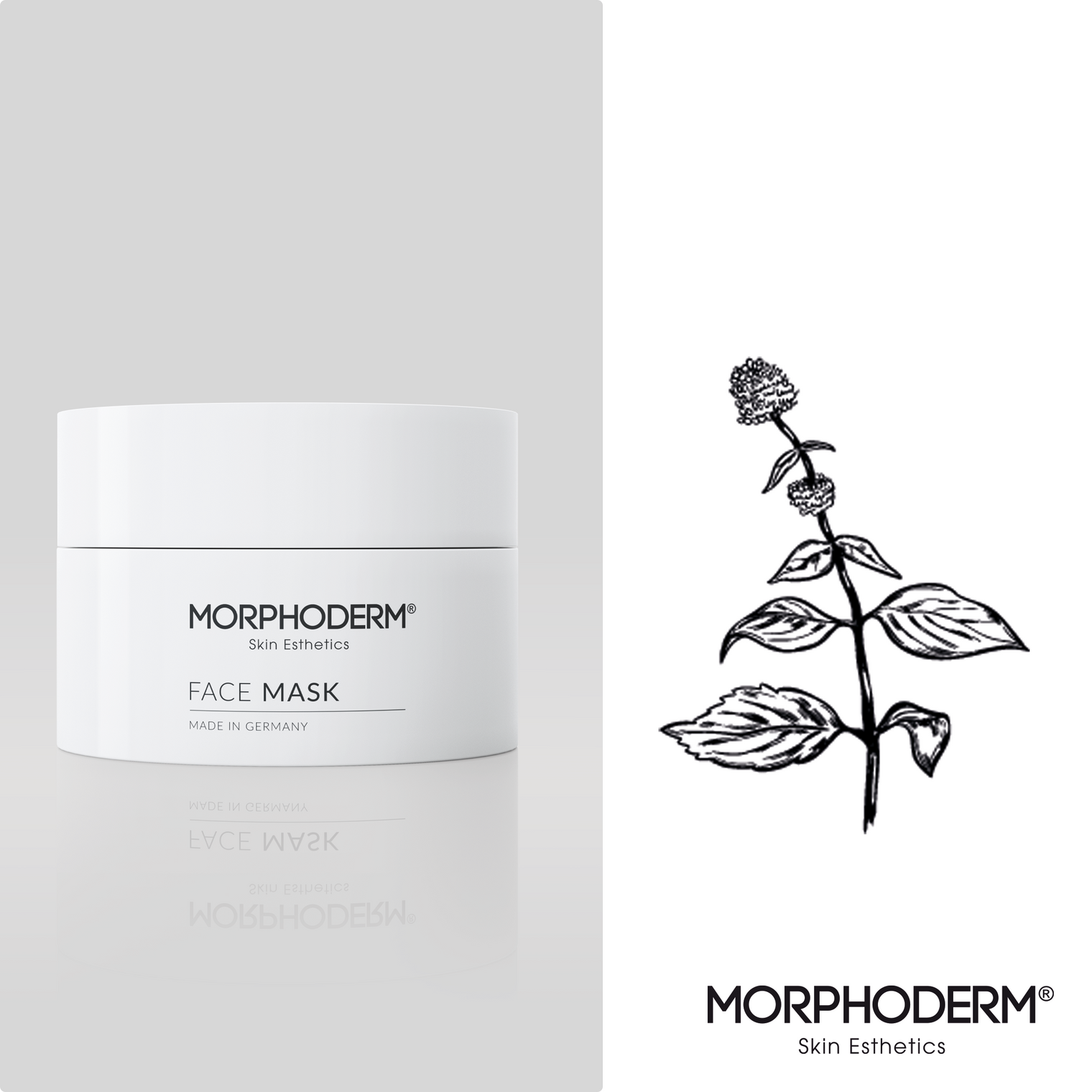 BAKUCHIOL: Die Revolution in der Hautpflege mit Morphoderm’s innovativer FACE MASK