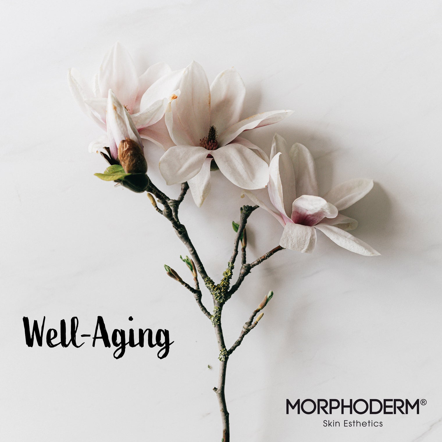 Well-Aging – der neue Trend zum gesunden Altern