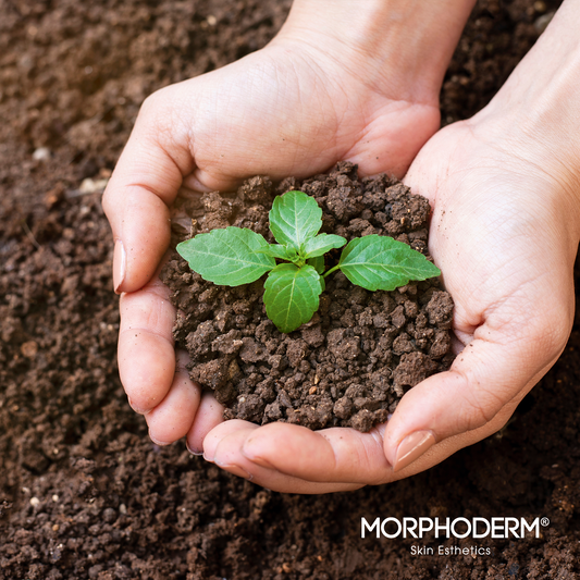 Die Philosophie von MORPHODERM Skin Esthetics wurzelt in den Heilkräften traditioneller Botanik und den Rezepturen des Arzneibuches von Anna Tsekeridus Großvater.
